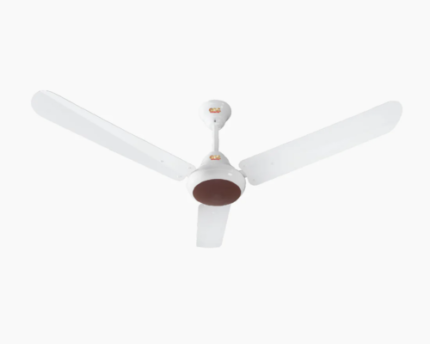 RAVI MODEL DARK WOOD 56