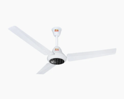 RAVI PLUS MODEL BLACK 56"
