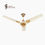 VIP MODEL Fan