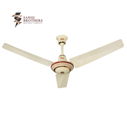 SUPER MODEL Fan