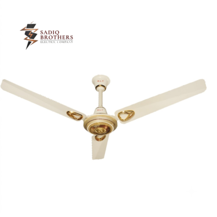 VIP DUBAI MODEL Fan
