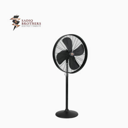 Designer With Round Base Fan